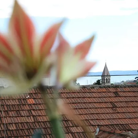 City View * Split