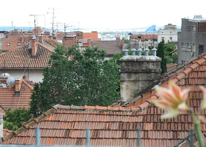 City View Apartment *